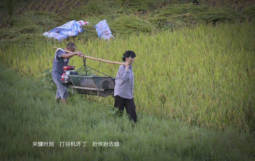 【原创】粒粒皆辛苦