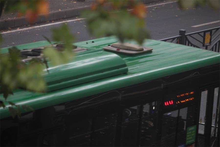 初冬的洛阳景华路印象