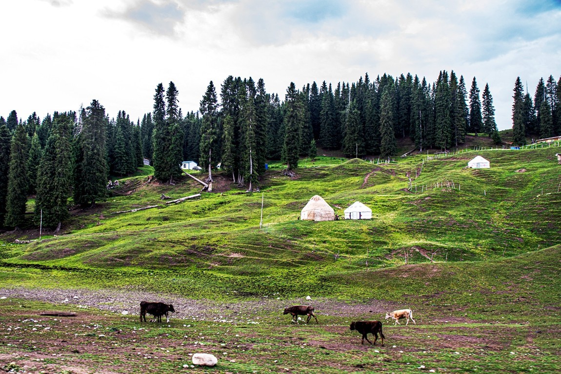 新疆行游--去琼库什台途中【1】