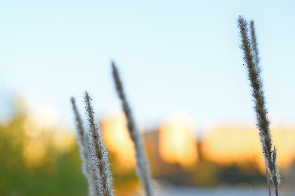 2024年初冬日里城市的足印