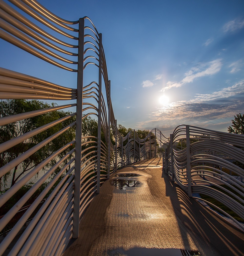 湿地有座山水桥