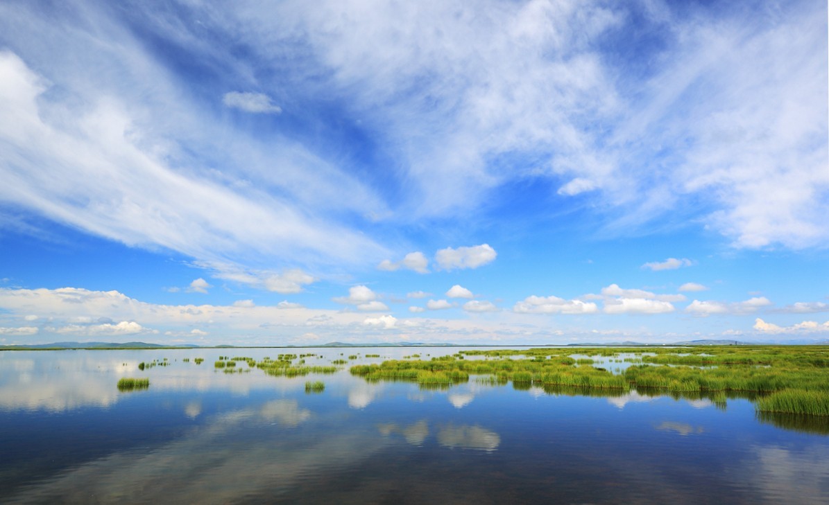 自驾若尔盖—花湖看草(2)