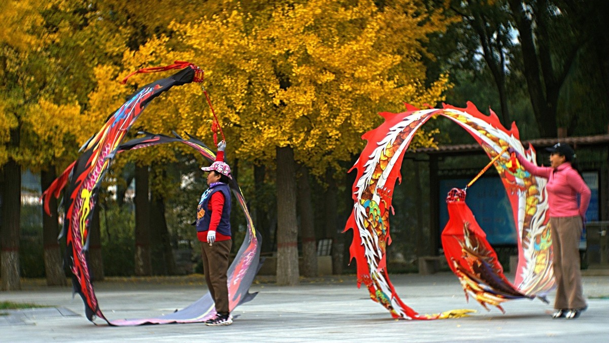 银杏树下飞龙舞