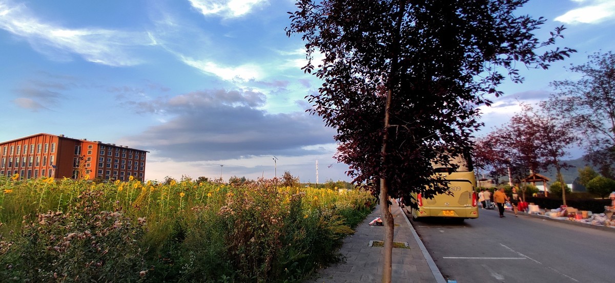 金秋的晚霞（手机随拍）