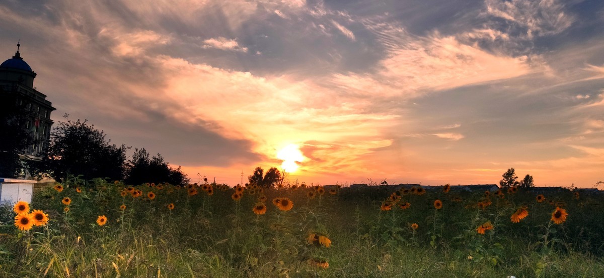 金秋的晚霞（手机随拍）