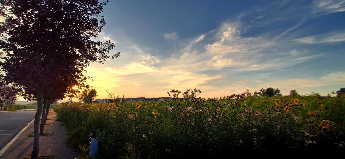 金秋的晚霞（手机随拍）