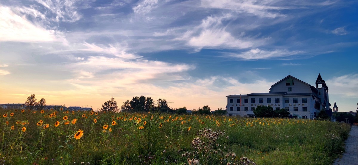 金秋的晚霞（手机随拍）