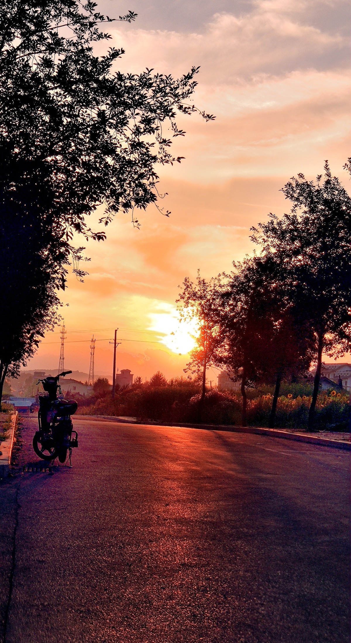 金秋的晚霞（手机随拍）