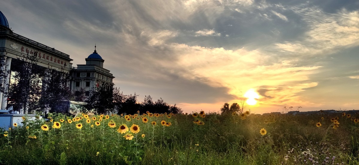 金秋的晚霞（手机随拍）