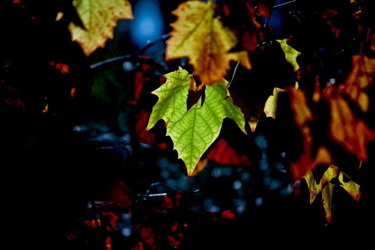 甲辰年除夕——结尾篇