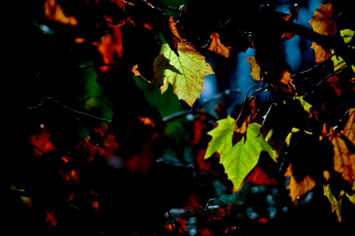 甲辰年除夕——结尾篇