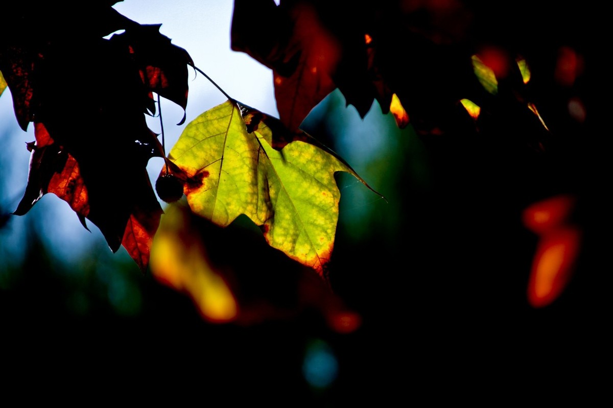甲辰年除夕——结尾篇