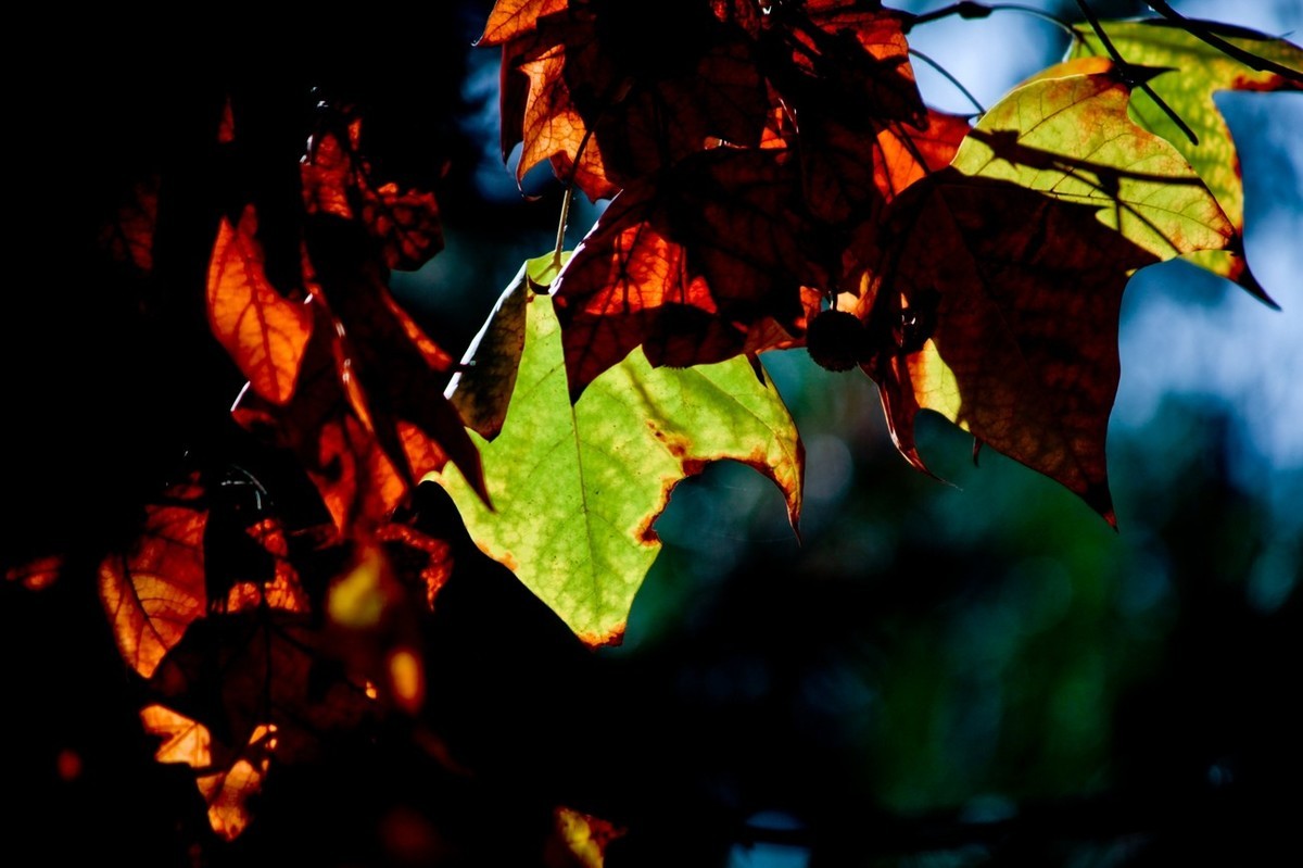 甲辰年除夕——结尾篇