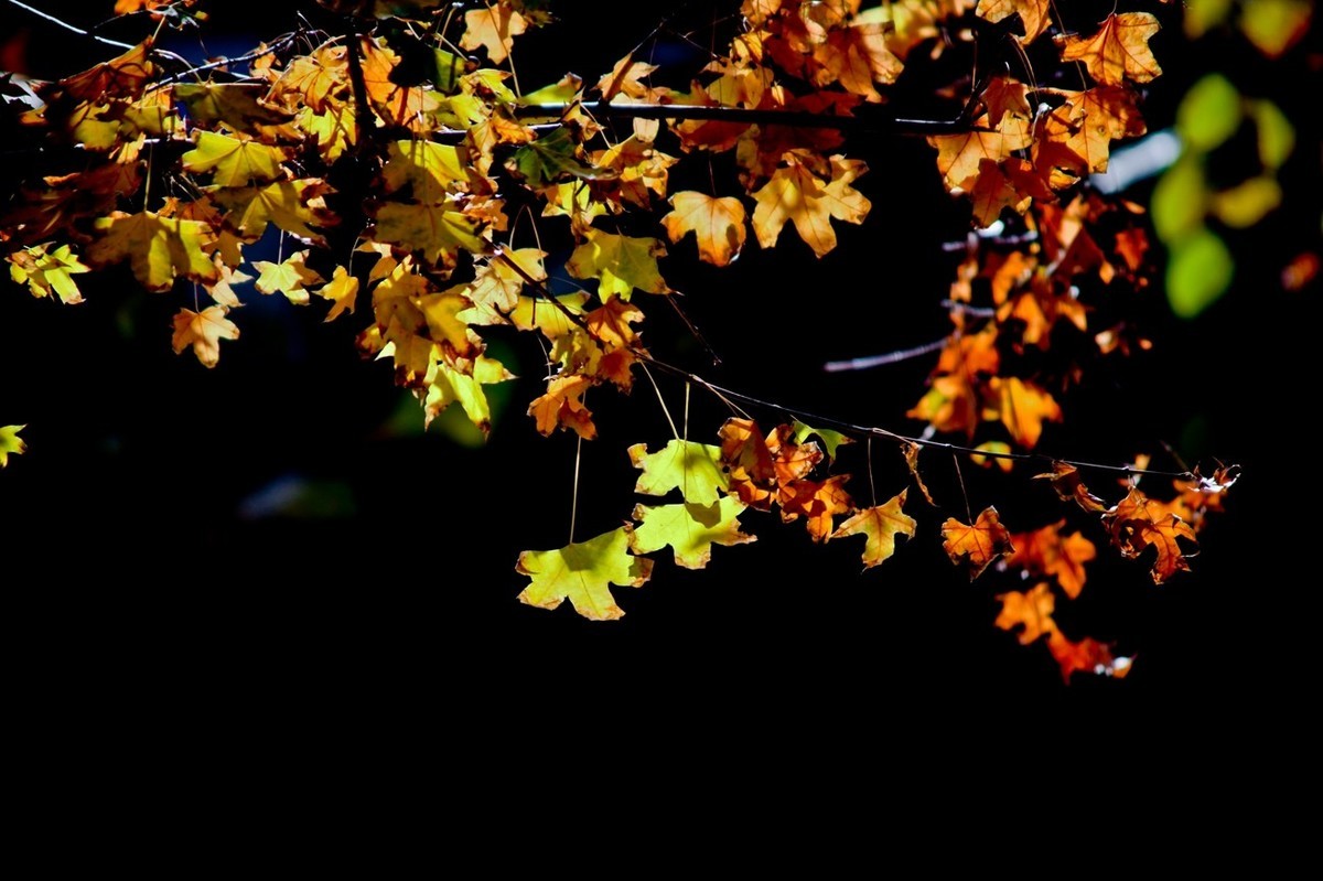 甲辰年除夕——结尾篇
