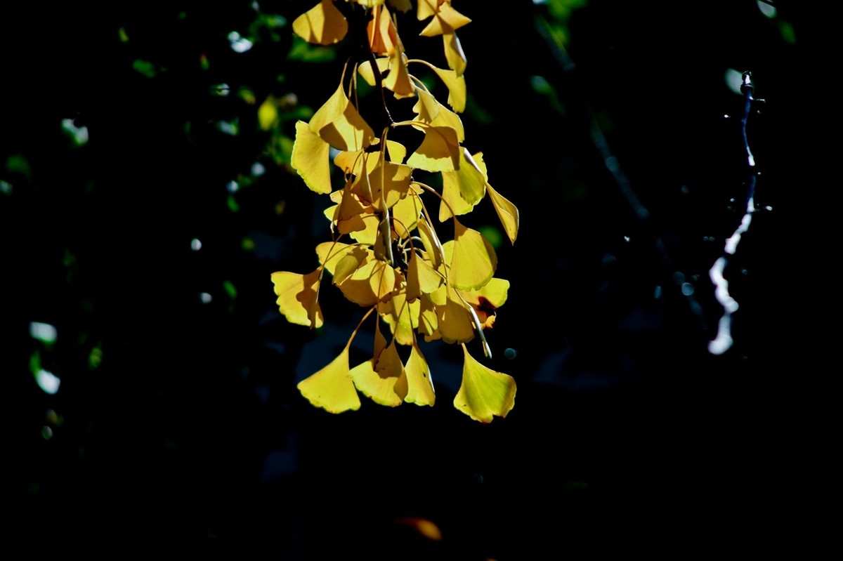 甲辰年除夕——结尾篇