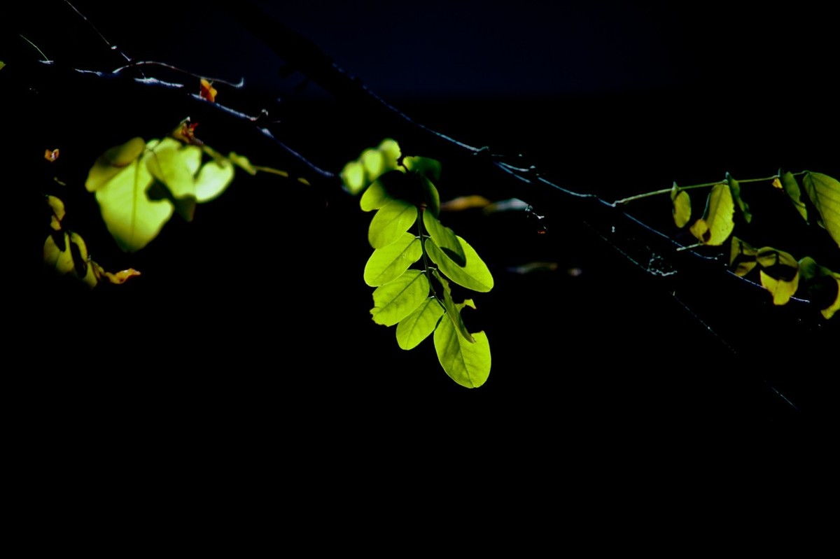 甲辰年除夕——结尾篇