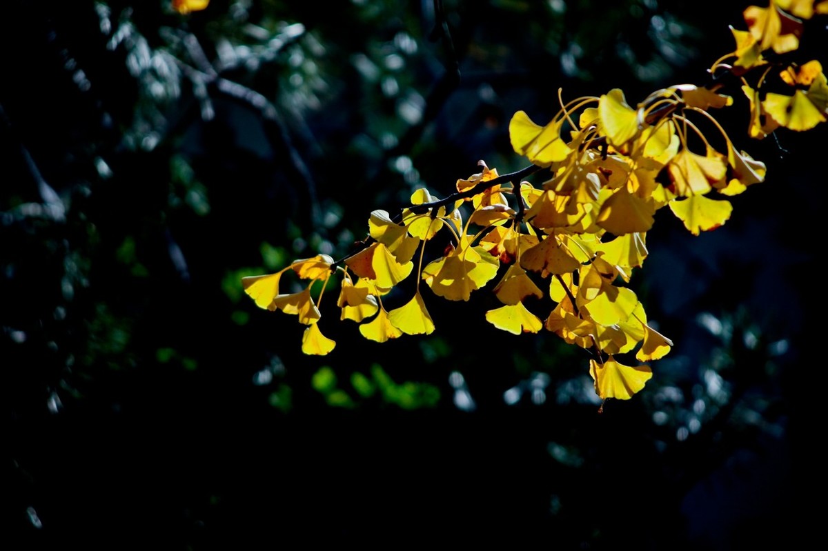 甲辰年除夕——结尾篇