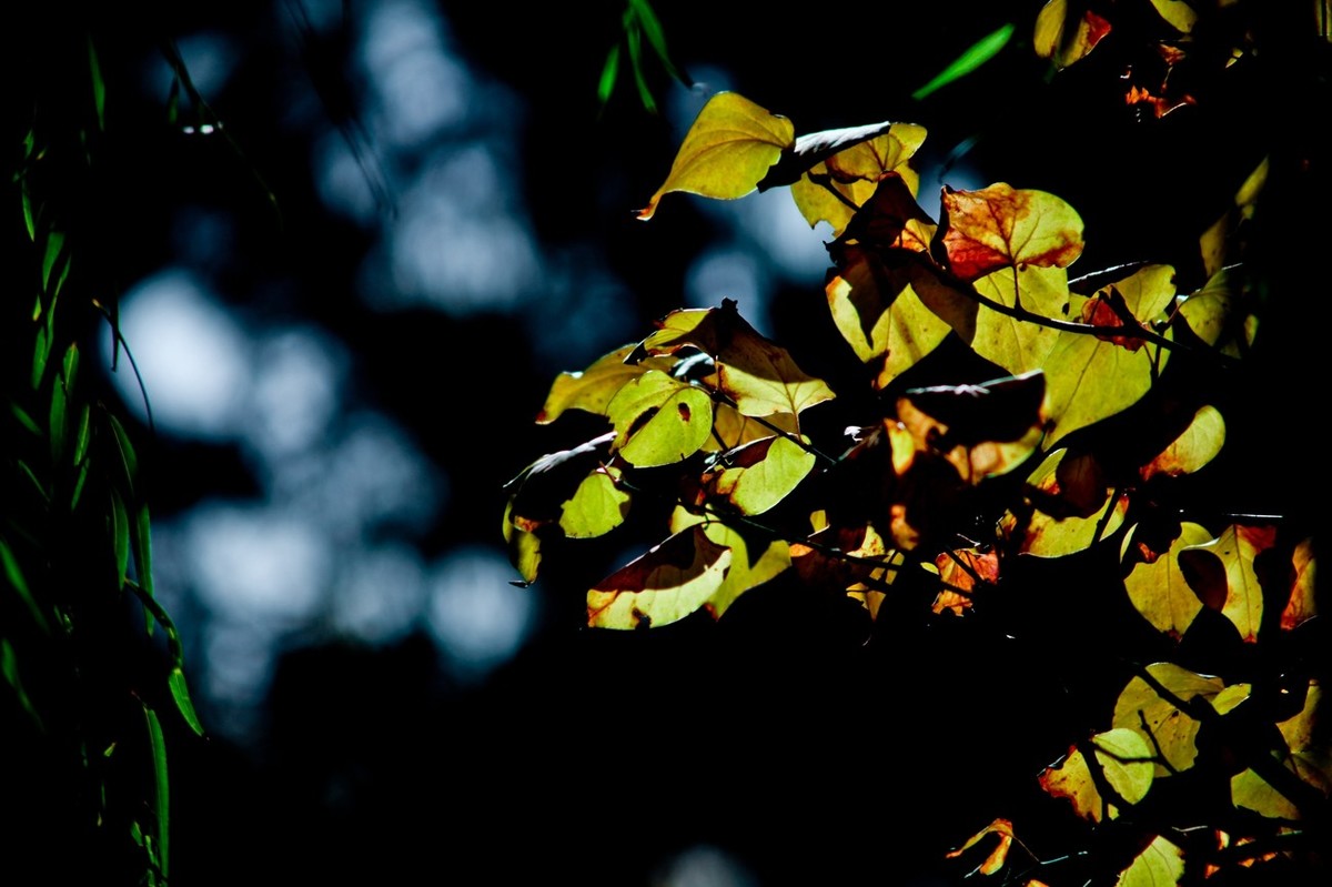 甲辰年除夕——结尾篇