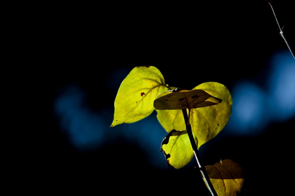 甲辰年除夕——结尾篇