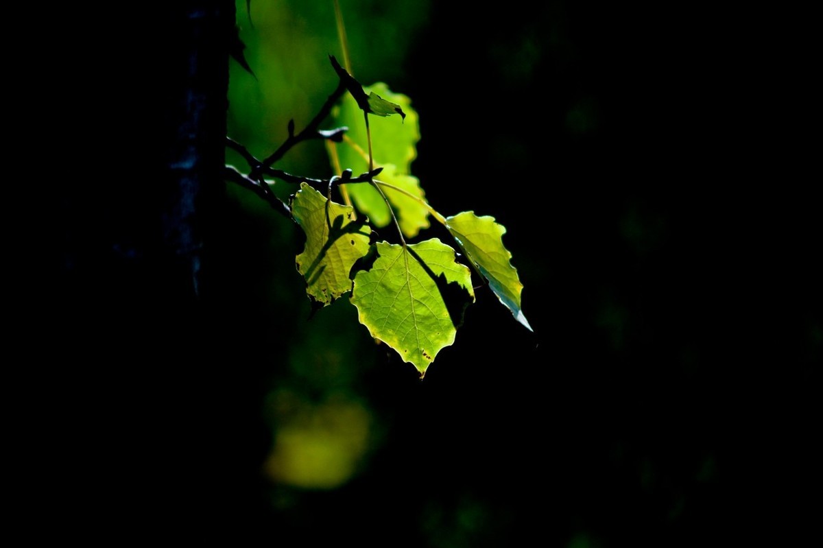 甲辰年除夕——结尾篇