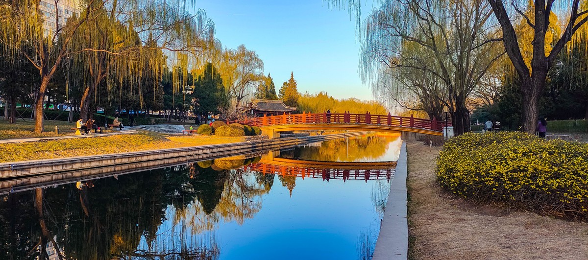 2025 元大都遗址公园的春天