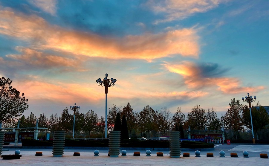 《不老松：纪实摄影》最美夕阳红！（名人植物园！）