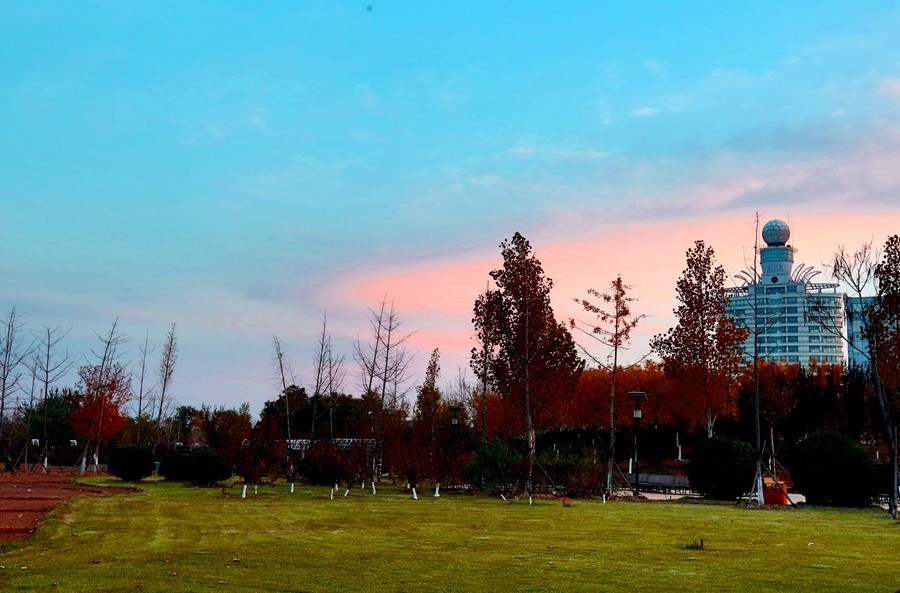 《不老松：纪实摄影》最美夕阳红！（名人植物园！）