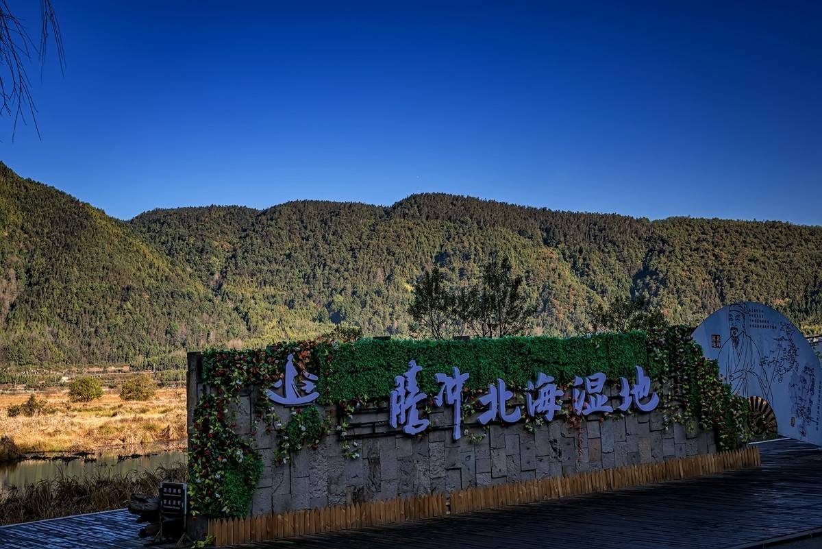云南腾冲 · 北海湿地
