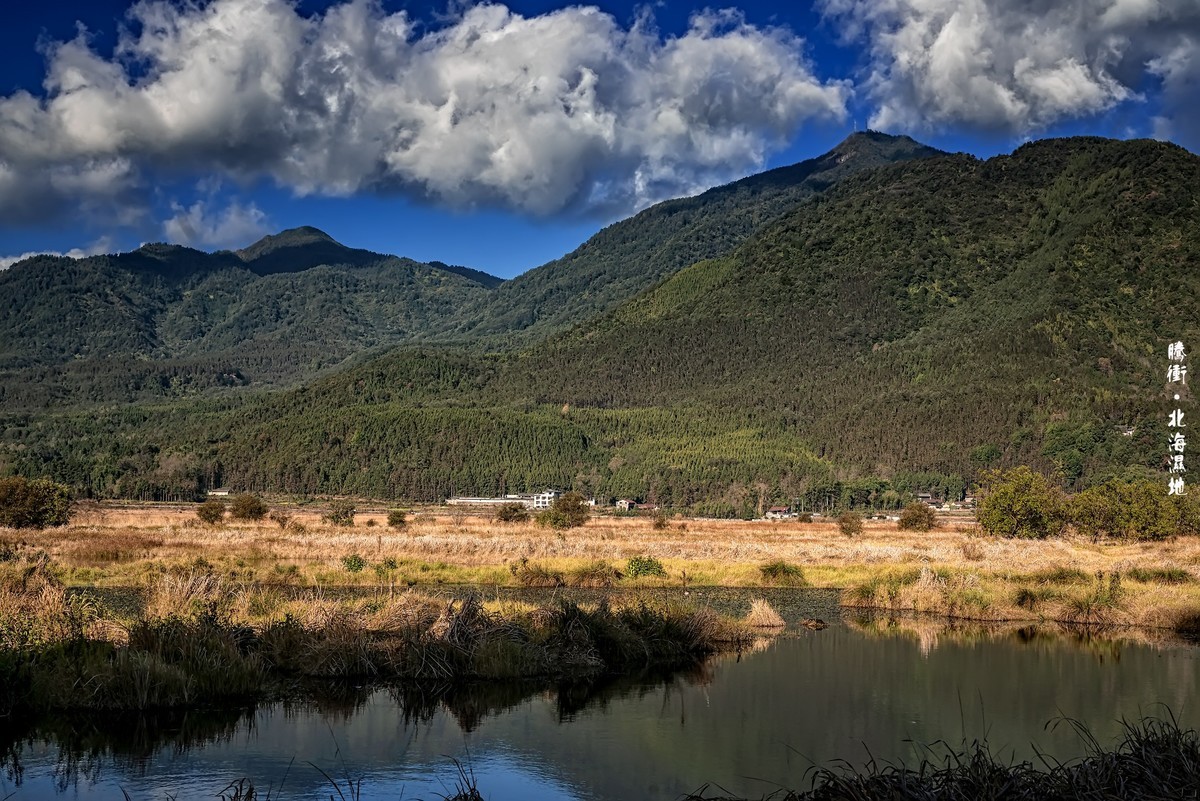 云南腾冲 · 北海湿地