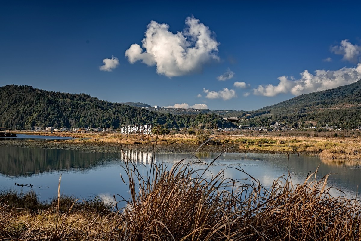 云南腾冲 · 北海湿地