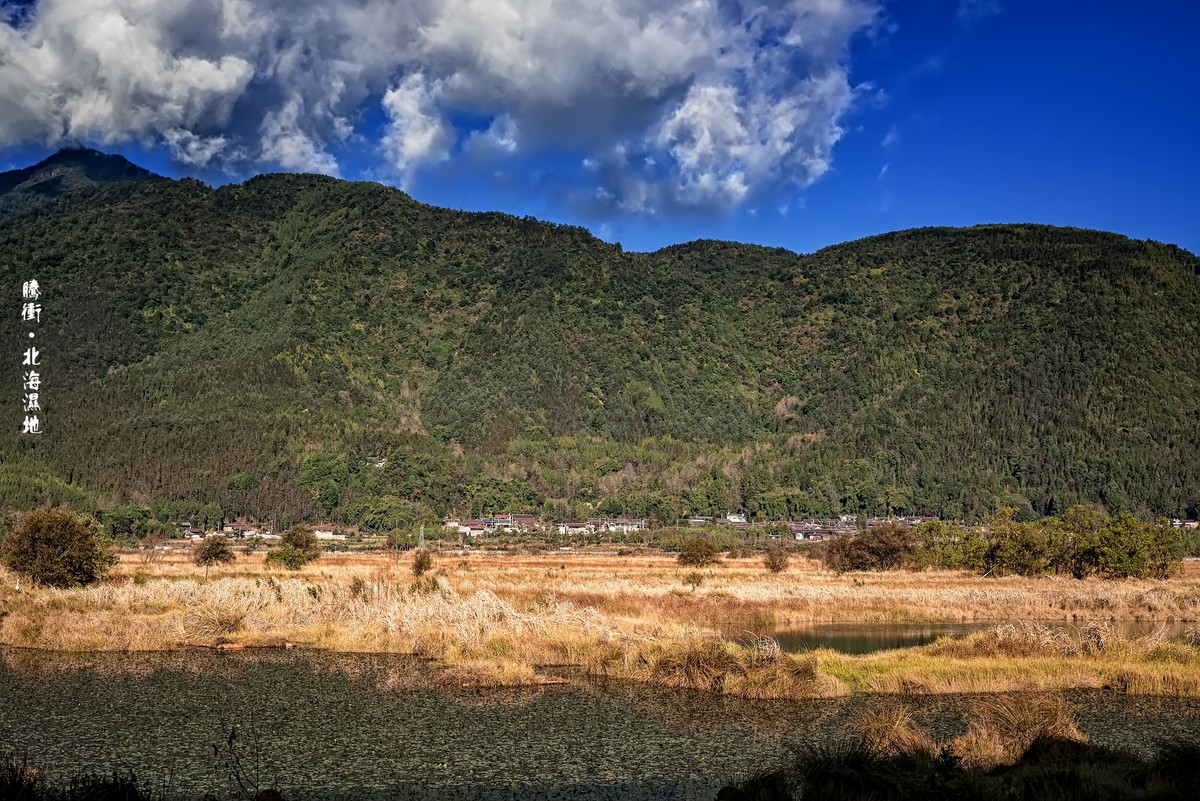 云南腾冲 · 北海湿地