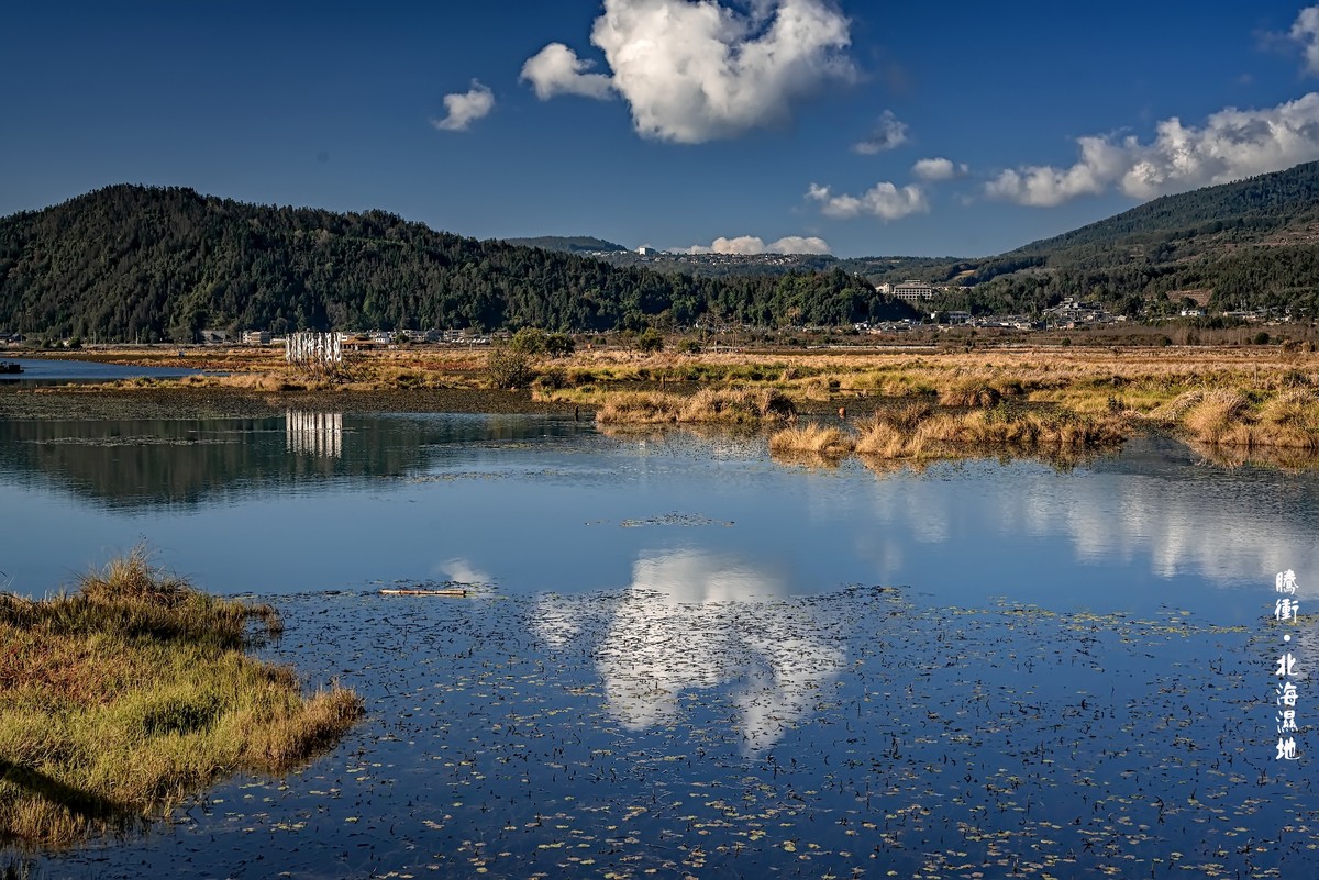 云南腾冲 · 北海湿地