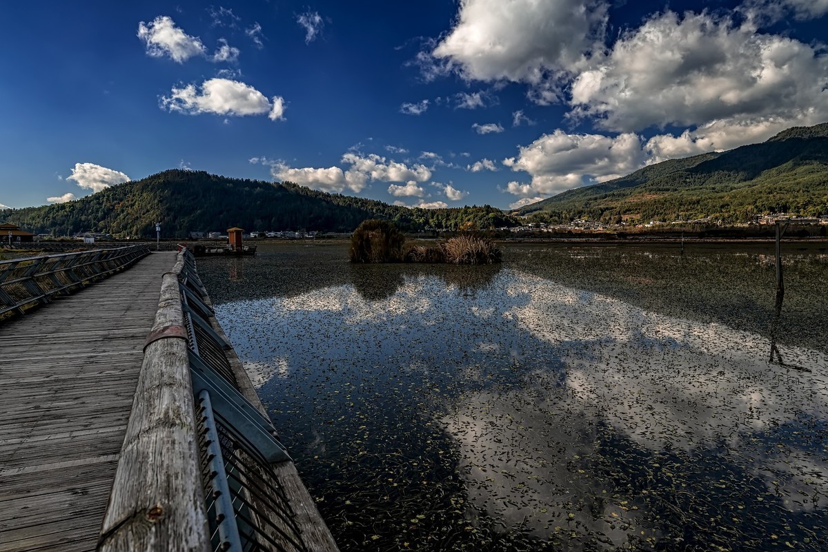 云南腾冲 · 北海湿地