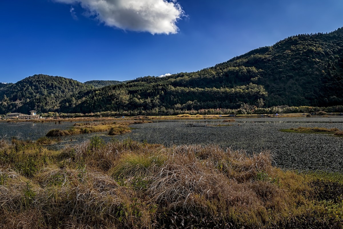 云南腾冲 · 北海湿地