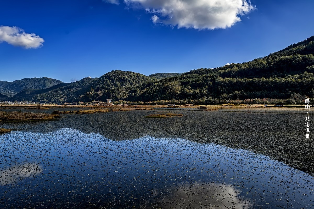 云南腾冲 · 北海湿地