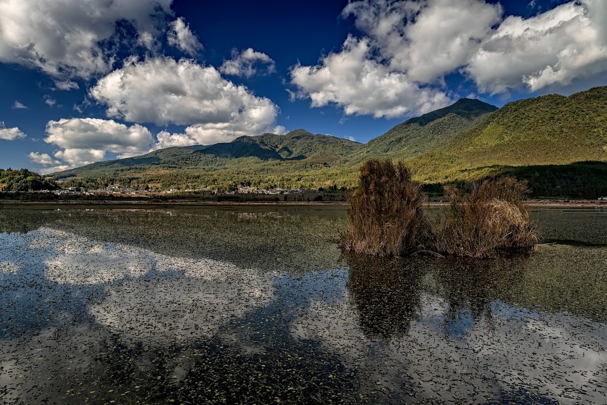 云南腾冲 · 北海湿地