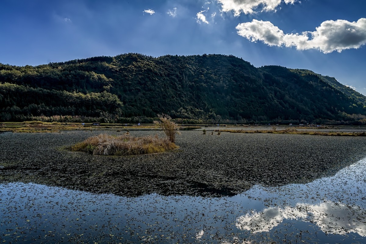 云南腾冲 · 北海湿地