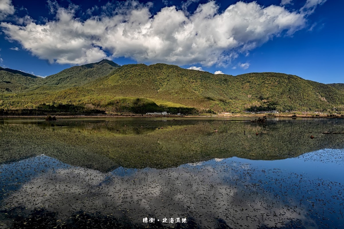 云南腾冲 · 北海湿地