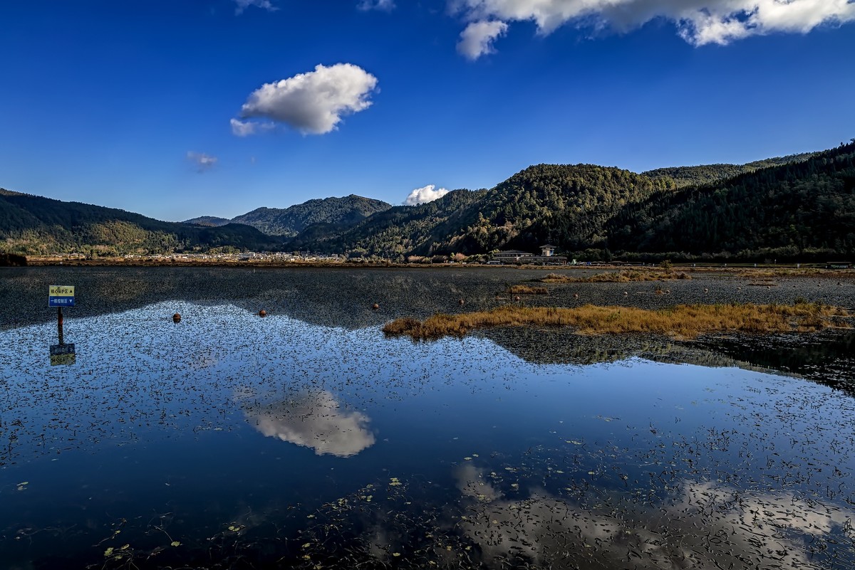 云南腾冲 · 北海湿地