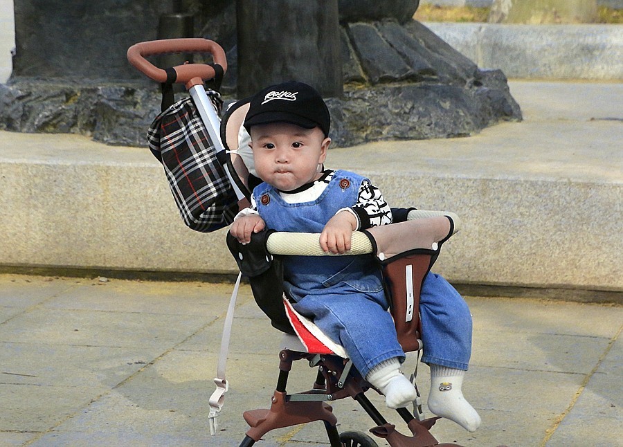 《不老松：纪实摄影》名人植物园：（3）八个月的小宝宝也来游园赏花！