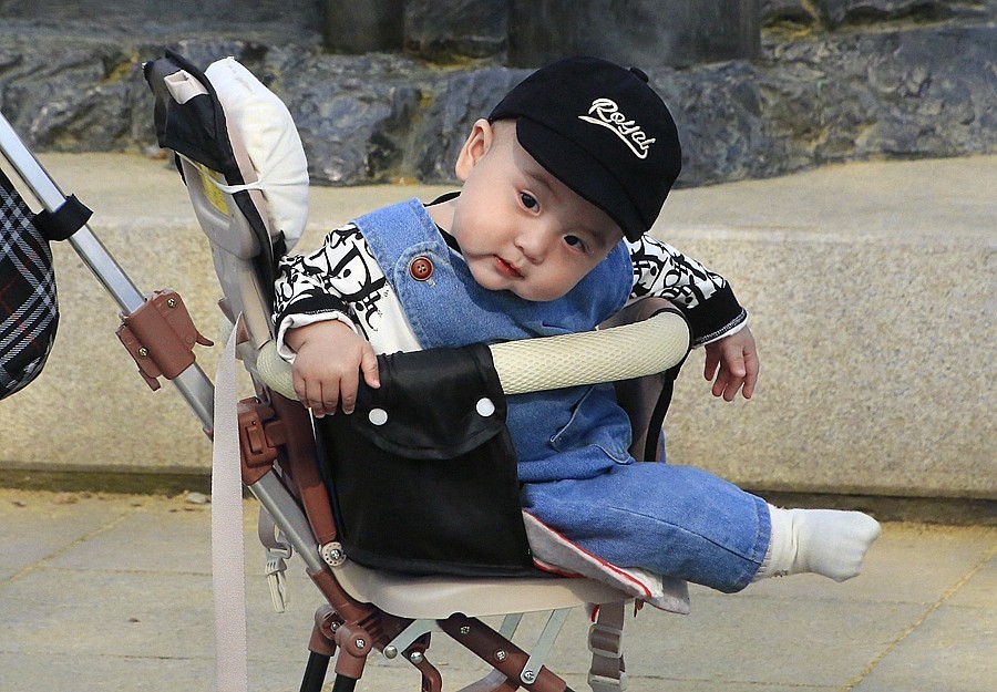 《不老松：纪实摄影》名人植物园：（3）八个月的小宝宝也来游园赏花！