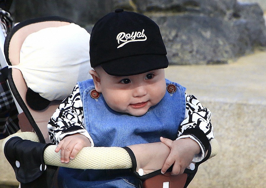 《不老松：纪实摄影》名人植物园：（3）八个月的小宝宝也来游园赏花！