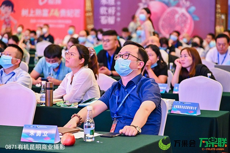 能力得到提升，鄙人有幸进场拍万果会！