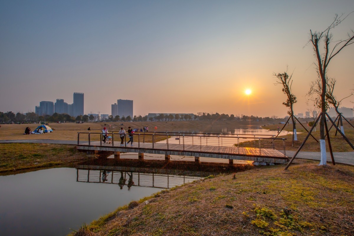 洋湖湿地公园风景 16