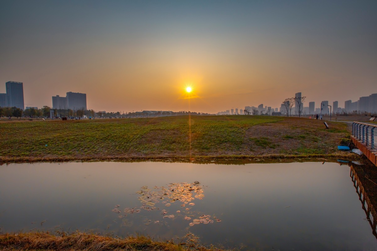 洋湖湿地公园风景 16