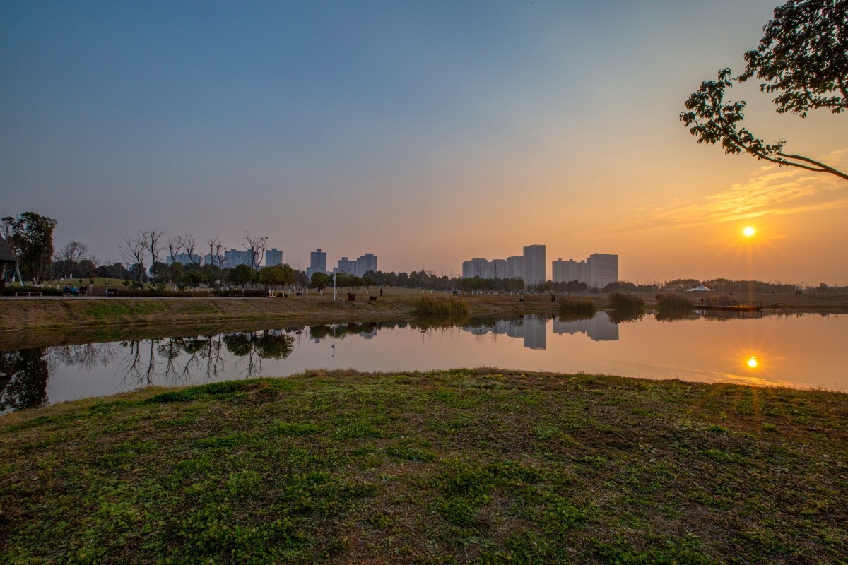 洋湖湿地公园风景 16