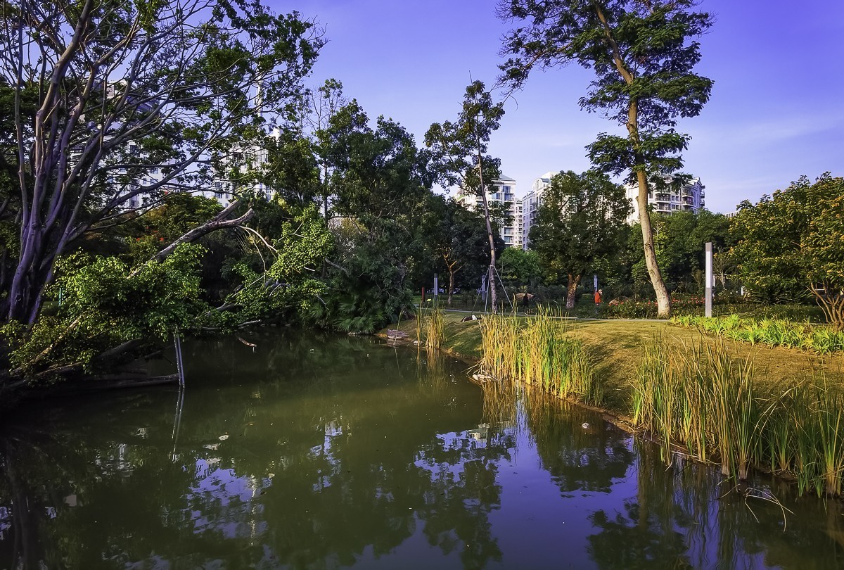 深圳香密公园 ～ 掠影（外出采风，月底见）