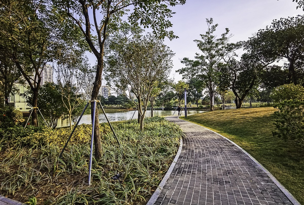 深圳香密公园 ～ 掠影（外出采风，月底见）