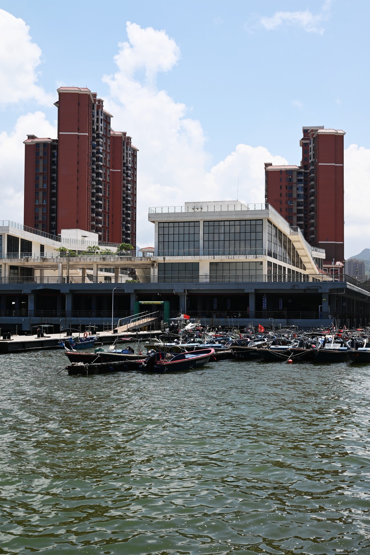 初夏热得花都开了！