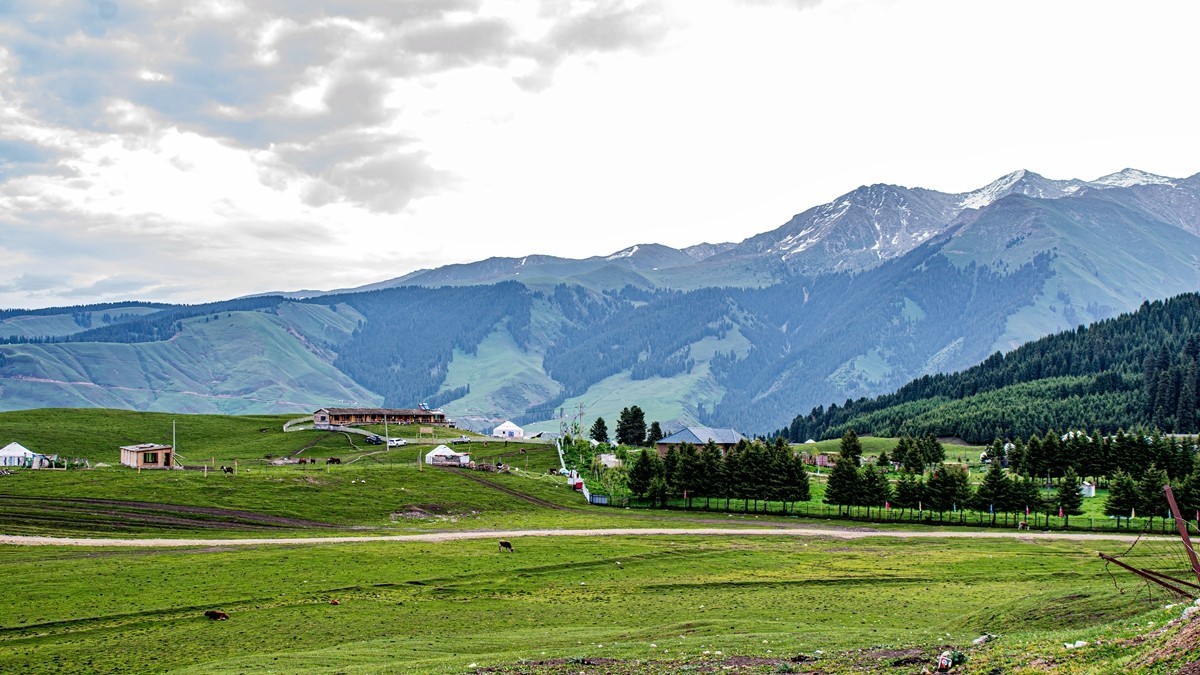 新疆行游--去琼库什台途中【1】